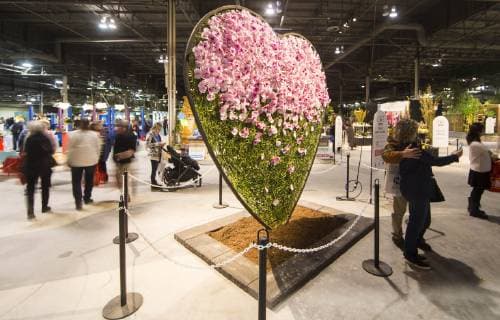(190308) -- TORONTO, March 8, 2019 (Xinhua) -- People visit the 2019 Canada Blooms in Toronto, Canada, March 8, 2019. The annual world-class event connects people to the joys and benefits of nature through experiences with gardens and flowers from March 8 to 17. (Xinhua Zou Zheng) CANADA-TORONTO-CANADA BLOOMS 