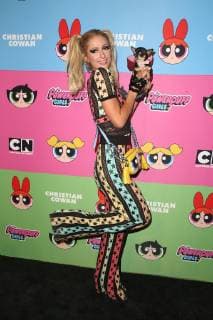 Paris Hilton mit ihrem Hund Diamond Baby bei der Ankunft zur Christian Cowan x Powerpuff Girls Runway Show am 8.03.2019 in Los Angeles Christian Cowan x Powerpuff Girls Runway Show 2019 in Los Angeles *** Paris Hilton with her dog Diamond Baby arriving at Christian Cowan x Powerpuff Girls Runway Show on 8 03 2019 in Los Angeles Christian Cowan x Powerpuff Girls Runway Show 2019 in Los Angeles 