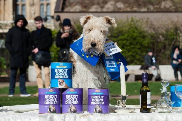 March 10, 2019 - London, England, United Kingdom - Anti-Brexit dog owners and their canine companions gather around cans of Pedigree Chump s Brexit Dog s Dinner at the Victoria Tower Gardens outside Parliament in London on 10 March, 2019, to protest against a no-deal Brexit and campaign for a People s Vote on a final Brexit deal. A no-deal Brexit could result in extra paperwork and veterinary certificates required for the pet passports which allow travel to the EU, higher cost of animal food and care as well as shortage of skilled vets and nurses. London United Kingdom  - ZUMAn230 20190310_zaa_n230_502 Copyright: xWiktorxSzymanowiczx