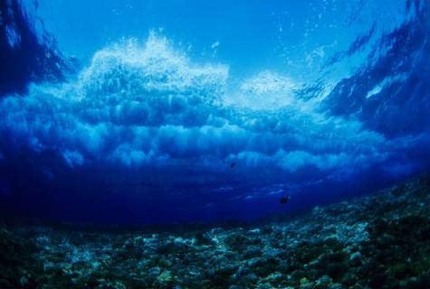 Hawaii, Underwater View Of Wave Breaking Over Coral Reef.  Copyright: DavexFleetham 1975349