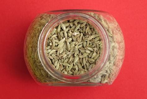 Fennel seeds in a glass Fennel Foeniculum vulgare Germany Europe Copyright: imageBROKER/UlrichxZillmann ibxuzi04859554.jpg
