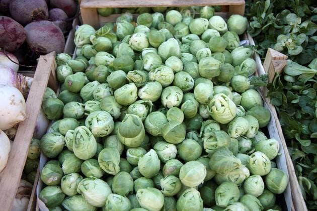 Freiburg Themenbild - Wochenmarkt, Markt Themenbild - Wochenmarkt, Markt Rosenkohl Auslagen auf einem Wochenmarkt in Freiburg Themenbild, Featurebild, Symbolbild *** Freiburg theme picture weekly market market theme picture weekly market market Brussels sprouts sprouts displays on a weekly market in Freiburg theme picture feature picture symbol picture Copyright: xEIBNER Daniel_Fleigx EP_DFG