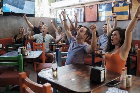 Excited fans cheering in a sports bar model released Symbolfoto property released  ABAF02236