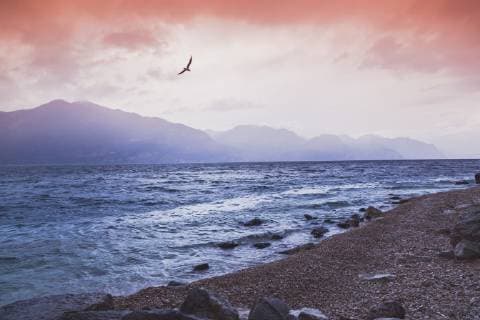 Italy, Veneto, Lake Garda near Brenzone  FLMF00119