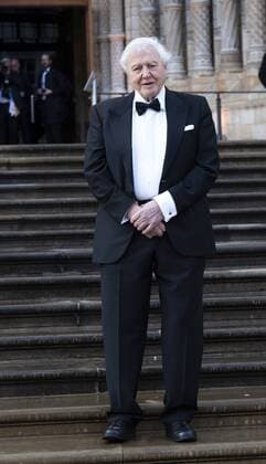 IMAGO ICONS: Sir David Attenborough April 4, 2019 - London, United Kingdom of Great Britain and Northern Ireland - Sir David Attenborough arriving at the Global Premiere of Our Planet at the Natural History Museum on April 4 2019 in London London United Kingdom of Great Britain and Northern Ireland *** April 4 2019 London United Kingdom of Great Britain and Northern Ireland Sir David Attenborough arriving at the Global Premiere of Our Planet at the Natural History Museum on April 4 2019 in London London United Kingdom of Great Britain and Northern Ireland  - ZUMAny1_ 20190404_zaf_ny1_182 Copyright: xFamousx