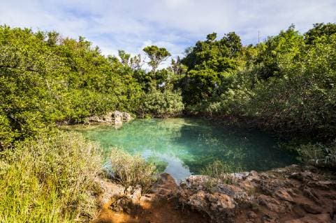 Bermuda, Sinkhole in the Blue Hole Park  RUNF00650