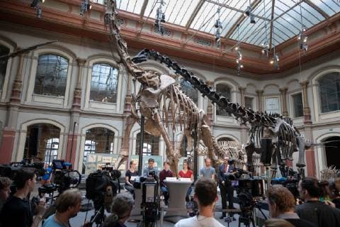 FridaysForFuture PK Students of the Fridays for Future movement present their demands on politics at a press conference at the Berlin Museum of Natural History Im Bild Svenja Kannt Sebastian Grieme Linus Steinmetz Sana Strahinjic Tom Patzelt and Prof Johannes Vogel General Director of the Museum für Naturkunde Berlin v l n r Berlin Berlin Germany
