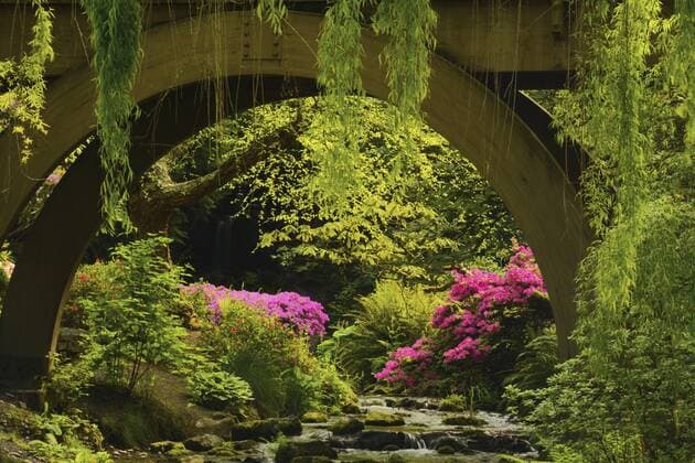 Azaleas; rhododendrons; Spring; color; Crystal Springs Rhododendron Garden; Portland; Oregon; USA  Copyright: xMichelxHersenx US38 MHE0164