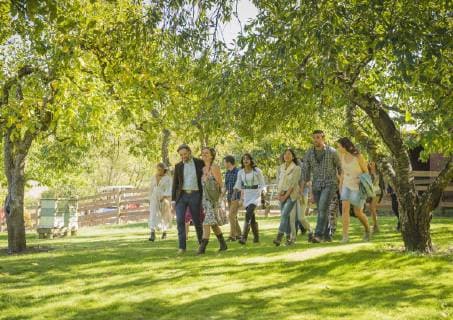 IMAGO Creative: Landleben - Alfresco, Draußen Friends walking grass under trees Friends walking grass under trees,Whidbey Island, Washington State, USA  57131