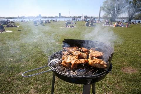 Grilling on the Alster in Hamburg 21 04 2019 DEU Germany Hamburg Meat lies on a grill in summer weather on the Außenalster in Hamburg Hamburg Hamburg Germany