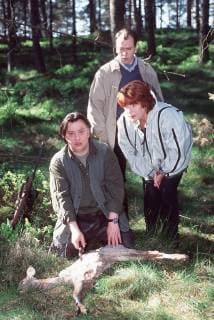 Im Varenbecker Wald werden die skelettierten Überreste eines vermißten Hamburger Ehepaares gefunden. Bella Block ermittelt. Szene mit BERND STEGEMANN (FÜrster Sven Reinhardt), BERND GRAWERT (Hartmut Schulte), HANNELORE HOGER (Bella Block) aka. Markus Imboden Überschrift: BELLA BLOCK - AUF DER JAGD Copyright: KPA !AUFNAHMEDATUM GESCHÄTZT! UnitedArchives00855090