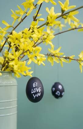 Hand-painted Easter eggs hanging from Forsythia twigs  GISF00410