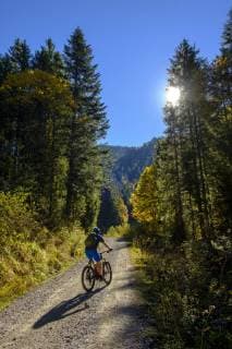 Germany, Hirschbach Valley, Mountainbiker near Lenggries model released Symbolfoto  LBF02365