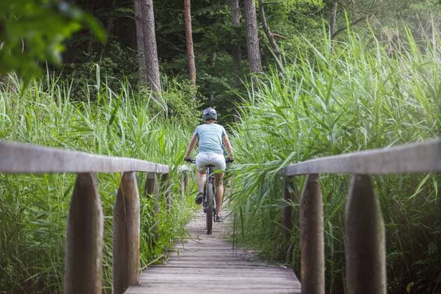 Woman on mountain bike crossing a bridge at a lake model released Symbolfoto  MMAF00832