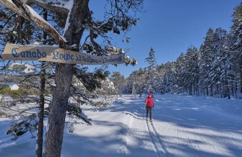 Germany, Bavaria, Wallgau, Isar Valley, Canada trail, cross country skier in winter landscape model released Symbolfoto  MRF01923