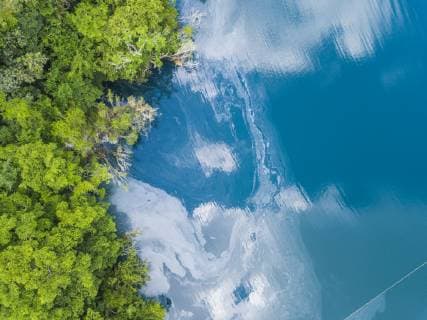 Mexiko, Yucatan, Quintana Roo, lagoon of Bacalar, green trees and lake, drone image  MMAF00772