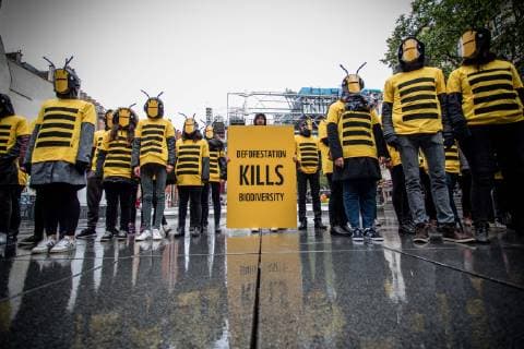 News Bilder des Tages WWF happening on the state of global biodiversity and the threats to it, in Paris on May 4th, 2019, after the 7th plenary session of the Intergovernmental Platform on Biodiversity and Ecosystem Services (IPBES) which opened on 29 April in Paris.  Copyright: xAurelienxMorissardx