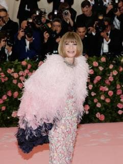 Anna Wintour arrives on the red carpet at The Metropolitan Museum of Art s Costume Institute Benefit Camp: Notes on Fashion at Metropolitan Museum of Art in New York City on May 6, 2019.  NYP20190506203 JOHNxANGELILLO