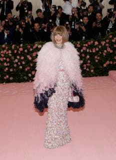 Anna Wintour arrives on the red carpet at The Metropolitan Museum of Art s Costume Institute Benefit Camp: Notes on Fashion at Metropolitan Museum of Art in New York City on May 6, 2019.  NYP20190506211 JOHNxANGELILLO