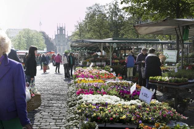 Weekly market in the Westphalian city of Muenster, 30 04 2019 Muenster Germany Copyright: xUtexGrabowskyx xphotothek.netx