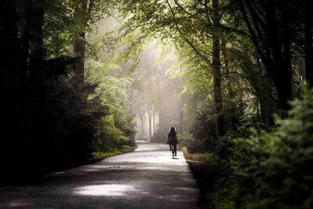 Ein Radfahrer mit Licht faehrt bei Nebel durch den Tiergarten in Berlin, 17.05.2019. Berlin Deutschland *** A cyclist with light drives in fog through the Tiergarten in Berlin, 17 05 2019 Berlin Germany Copyright: xFlorianxGaertner photothek.netx