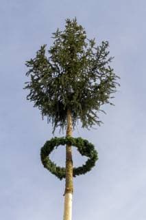 Maibaum *** maypole  041583