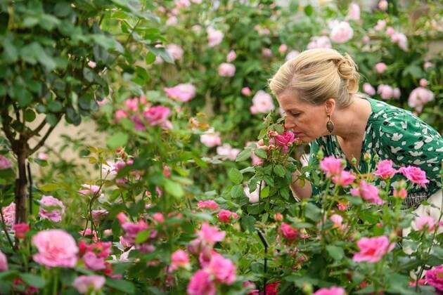 . 20 05 2019. London, United Kingdom. Sophie, The Countess of Wessex at the Chelsea Flower Show.  xPoolx xi-Imagesx IIM-19701-0104