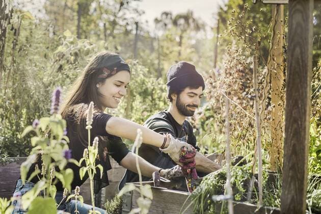Happy couple gardening in urban garden together model released Symbolfoto  VGPF00020
