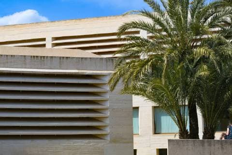 Architektur von Rafael Moneo Miro- Museum, Aussenansicht , Palme im Garten, moderne Architektur, Mallorca. 1992 eröffnet, widmet sich das Mir— Museum dem Lebenswerk des katalanischen Malers, Grafikers und Bildhauers Joan Mir—. Das Museum präsentiert umfänglich Gemälde, Zeichnunge und Skulpturen Mir—s und das Atelier, in dem der Künstler tätig war. Foto:Winfried Rothermel *** Miro Museum, exterior view, palm tree in the garden, modern architecture, opened in Mallorca in 1992, the Mir- Museum is dedicated to the lifes work of the Catalan painter, graphic artist and sculptor Joan Mir- The museum presents extensive paintings, drawings and sculptures by Mir-s and the studio in which the artist worked Photo Winfried Rothermel Miro- Museum, Palma, Mallorca, April 16, 2019