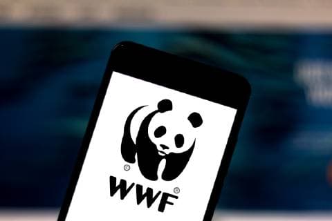 June 1, 2019 - Brazil - In this photo illustration a World Wide Fund for Nature (WWF) logo seen displayed on a smartphone. Brazil - ZUMAs197 20190601_zab_s197_050 Copyright: xRafaelxHenriquex