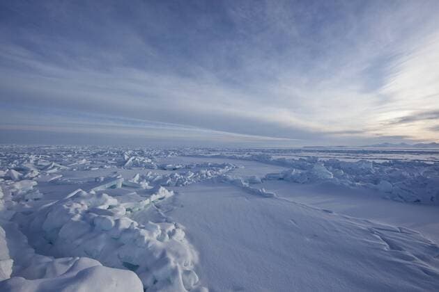 GREENLAND Pack ice near Cape Tobin, Scoresbysund, Ittoqqortoormiit, North East Greenland. March 2009.  1284327 UrixGolman