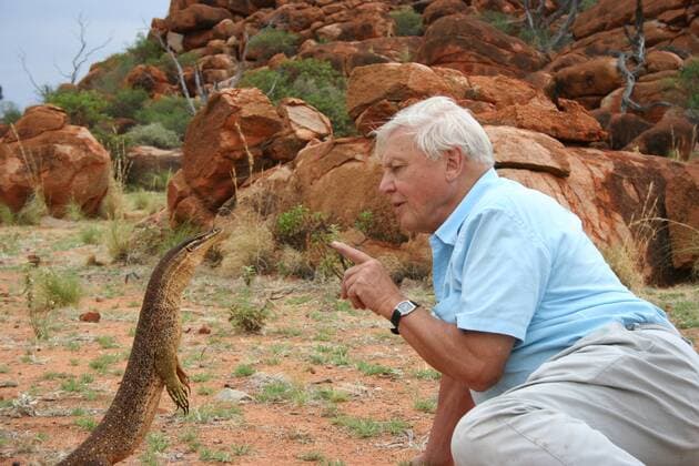 IMAGO ICONS: Sir David Attenborough PRESENTER Sir David Attenborough with Argus monitor (Varanus panoptes rubidus) standing on its hind legs when approached, Western Australia. November 2006, on location filming for BBC NHU series Life in Cold Blood  1292915 MilesxBarton