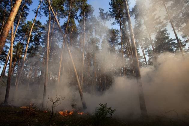 News Themen der Woche KW23 News Bilder des Tages Waldbrand in Brandenburg - Unterstützung aus der Luft mit Hubsc, Waldbrand in Brandenburg mittlerweile am Ortsrand von Felgentreu angekommen. Die Feuerwehren sind im Großeinsatz und werden mittlerweile durch Hubschrauber der Bundespolizei unterstüzt. Die Hubschrauber löschen aus der Luft mit, da dort das Gelände das brennt, nicht betreten werden kann, da das Gelände mit Munition verseucht ist. Felgentreu Brandenburg Deutschland *** Forest fire in Brandenburg support from the air with Hubsc, forest fire in Brandenburg meanwhile arrived at the outskirts of Felgentreu The fire brigades are in large-scale operation and are now supported by helicopters of the federal police The helicopters extinguish from the air with, because there the area burns, can not be entered, because the area is contaminated with ammunition Felgentreu Brandenbu