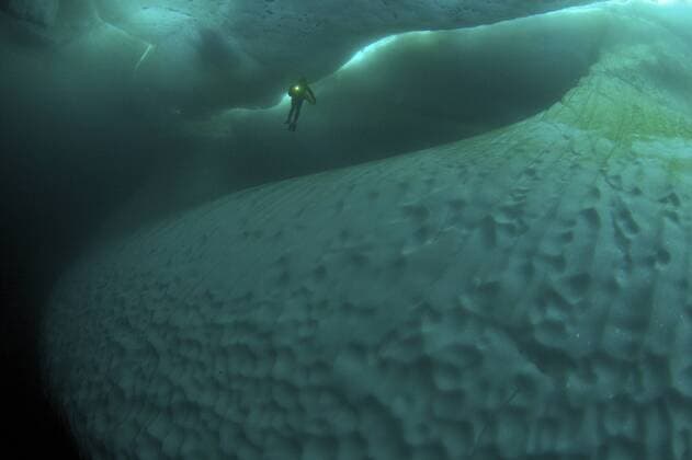 CANADA Iceberg dive, diver next to ice floe, Pond Inlet, Baffin Island, Nunavut, Canada, June  1360189 ToddxMintz