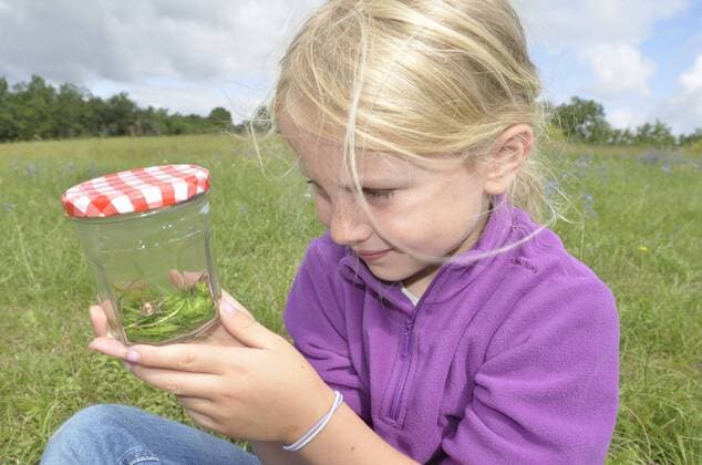 FRANCE Child in garden collecting insects in jam jar. France, Europe, August. Model released.  1361975 DanxBurton