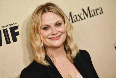 Amy Poehler arriving at the Women In Film Gala in Beverly Hills, California - June 12, 2019 - Women In Film Gala 2019, Beverly Hills California United States Beverly Hilton Hotel  Copyright: xOxConnorx WomenInFilmAnnualGala_OCO_133