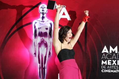 Director Lila Aviles poses at the red carpet of the 61st Ariel Awards of the Mexican Academy of the Cinematographic Arts and Sciences (AMACC) at the National Firm Archive in Mexico City, Mexico, 24 June 2019. Ariel Awards in Mexico City !ACHTUNG: NUR REDAKTIONELLE NUTZUNG!  Copyright: xMarioxGuzmanx AME6437 20190625-636970408804166838