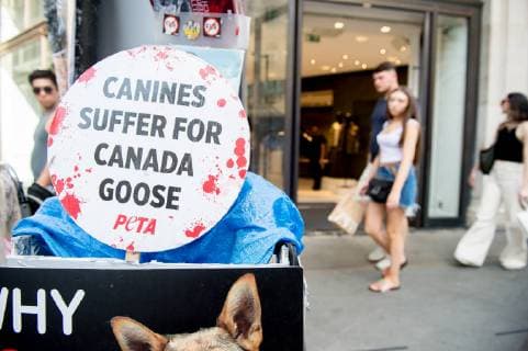 June 29, 2019 - PETA (People for the Ethical Treatment of Animals) supporters demonstrate against animals being used in the brands clothing outside Canada Goose Regent Street store on June 29th 2019 n London, United Kingdom while observing an injunction passed in December 2017, which restricts the protestors use of loudspeakers to 15 minute intervals and imposing an Ã¢â‚¬oeExclusion ZoneÃ¢â‚¬Â around the store protestors can not pass.  - ZUMAr152 20190629_zaa_r152_035 Copyright: xOlliexMillingtonx xRmvx