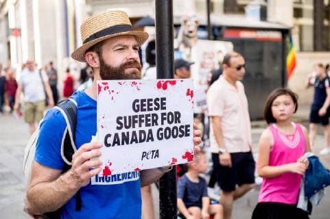 June 29, 2019 - PETA (People for the Ethical Treatment of Animals) supporters demonstrate against animals being used in the brands clothing outside Canada Goose Regent Street store on June 29th 2019 n London, United Kingdom while observing an injunction passed in December 2017, which restricts the protestors use of loudspeakers to 15 minute intervals and imposing an Ã¢â‚¬oeExclusion ZoneÃ¢â‚¬Â around the store protestors can not pass.  - ZUMAr152 20190629_zaa_r152_019 Copyright: xOlliexMillingtonx xRmvx