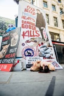 June 29, 2019 - PETA (People for the Ethical Treatment of Animals) supporters demonstrate against animals being used in the brands clothing outside Canada Goose Regent Street store on June 29th 2019 n London, United Kingdom while observing an injunction passed in December 2017, which restricts the protestors use of loudspeakers to 15 minute intervals and imposing an Ã¢â‚¬oeExclusion ZoneÃ¢â‚¬Â around the store protestors can not pass.  - ZUMAr152 20190629_zaa_r152_033 Copyright: xOlliexMillingtonx xRmvx