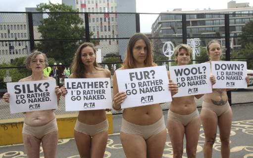 Only dressed in underwear and with protest signs in front of their partly naked breas Copyright: epd-bildx xJuergenxBlume EDITORIAL USE ONLY