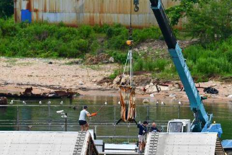 VLADIVOSTOK, RUSSIA - JUNE 20, 2019: Preparing an orca to be transported to the release site in the Sakhalin Gulf. Experts of the Russian Research Institute of Fisheries and Oceanography (VNIRO) begin an operation to release the marine mammals that had been kept at the so-called whale prison , from a rehabilitation centre in the Srednyaya Bay. A marine containment facility branded a whale prison was discovered in the Srednyaya Bay in Primorye Territory in 2018; 90 belugas and 11 orcas were captured in the whale prison to be sold to Chinese amusement parks; later, three beluga whales and one orca disappeared. Russian police and prosecutors are carrying out a criminal investigation. Dmitry Yefremov TASS  TS0B2AC3