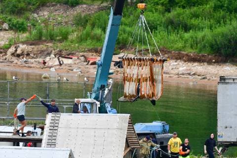 VLADIVOSTOK, RUSSIA - JULY 11, 2019: Preparing an orca to be transported to the release site in the Sakhalin Gulf. Experts of the Russian Research Institute of Fisheries and Oceanography (VNIRO) begin an operation to release the marine mammals that had been kept at the so-called whale prison , from a rehabilitation centre in the Srednyaya Bay. A marine containment facility branded a whale prison was discovered in the Srednyaya Bay in Primorye Territory in 2018; 90 belugas and 11 orcas were captured in the whale prison to be sold to Chinese amusement parks; later, three beluga whales and one orca disappeared. Russian police and prosecutors are carrying out a criminal investigation. Dmitry Yefremov TASS  TS0B2AC4