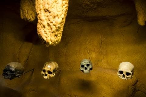 Saltillo, Mexico July 9, 2019 - Illustrative picture at the Desert Museum in Coahuila state northern Mexico - Human skulls MUSEE DU DESERT, SALTILLO, MEXIQUE, AMERIQUE LATINE, CULTURE MEXICAINE, ILLUSTRATION, ILLUSTRATIF, CLIMAT DESERTIQUE, ARIDE, CHALEUR, CHAUD, ARIDITE, SECHERESSE, COAHUILA, MUSEO DEL DESIERTO, DESERT MUSEUM, DESERT MEXICAIN, CLIMAT DESERTIQUE, EXPOSITION, ECOSYSTEMES, CRANES HUMAINS, MORT Copyright: xVincentxIsorex