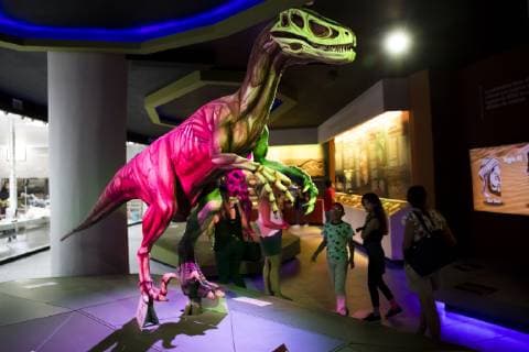 Saltillo, Mexico July 9, 2019 - Illustrative picture at the Desert Museum in Coahuila state northern Mexico - Dinosaure statue MUSEE DU DESERT, SALTILLO, MEXIQUE, AMERIQUE LATINE, CULTURE MEXICAINE, ILLUSTRATION, ILLUSTRATIF, CLIMAT DESERTIQUE, ARIDE, CHALEUR, CHAUD, ARIDITE, SECHERESSE, COAHUILA, MUSEO DEL DESIERTO, DESERT MUSEUM, DESERT MEXICAIN, CLIMAT DESERTIQUE, EXPOSITION, ECOSYSTEMES, VERT, EFFRAYANT Copyright: xVincentxIsorex