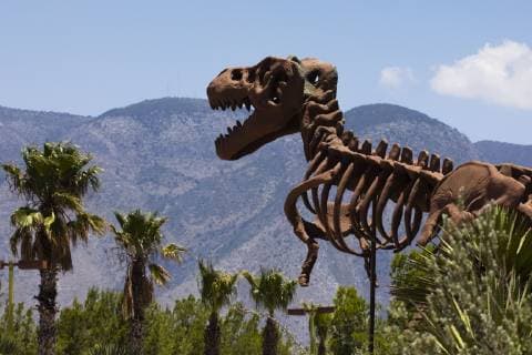 Saltillo, Mexico July 9, 2019 - Illustrative picture at the Desert Museum in Coahuila state northern Mexico - Giant squeleton statue of T Rex dinosaure seen at the museum entrance MUSEE DU DESERT, SALTILLO, MEXIQUE, AMERIQUE LATINE, CULTURE MEXICAINE, ILLUSTRATION, ILLUSTRATIF, CLIMAT DESERTIQUE, ARIDE, CHALEUR, CHAUD, ARIDITE, SECHERESSE, COAHUILA, MUSEO DEL DESIERTO, DESERT MUSEUM, DESERT MEXICAIN, CLIMAT DESERTIQUE, EXPOSITION, ECOSYSTEMES, TYRANNOSAURE, INSOLITE Copyright: xVincentxIsorex