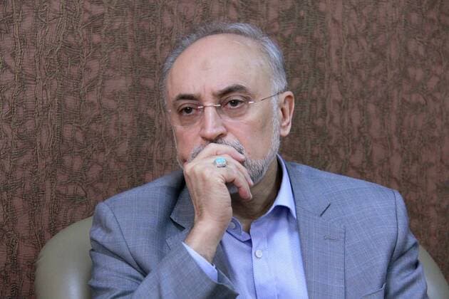 July 5, 2016 - Tehran, Tehran, IRAN - Ali Akbar Salehi, head of the Atomic Energy Organisation of Iran, speaks during an interview in Tehran, Iran. Tehran IRAN - ZUMAf146 20160705_zip_f146_027 Copyright: xRouzbehxFouladix