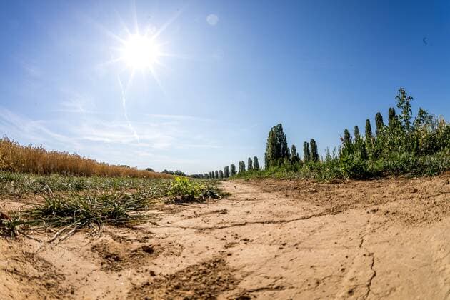 Heatwave and drought in Germany 24 07 2019, Oberursel Hessen The sun shines over a dried-out field arc The current heatwave in Germany predicts maximum temperatures of 40°C , Oberursel Deutschland