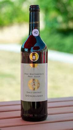 Regional wine award Saale Unstrut 2019 Rotkäppchen Sektkellerei in Freyburg Regional wine queen Gina Maria Gräfe 20 presents the three award-winning wines, Halle Saale Sachsen Anhalt Germany