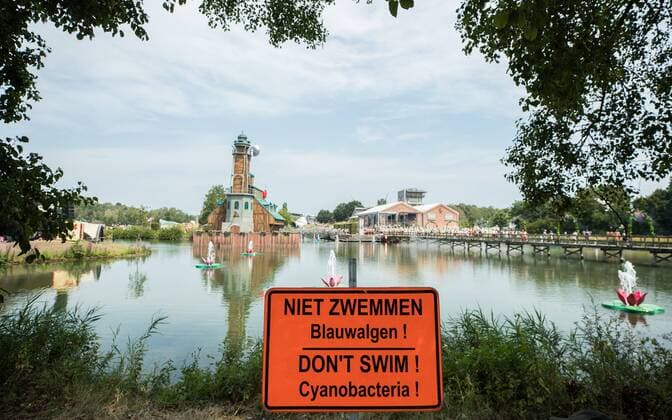 Don t swim warnings on the side of the water area s at the first day of the second weekend of the Tomorrowland music festival, Friday 26 July 2019. The 15th edition of Tomorrowland electronic music festival takes place at the De Schorre terrain in Boom from 19 to 21 July 2019 and from 26 to 28 July 2019.  DAVIDxPINTENS 05633751